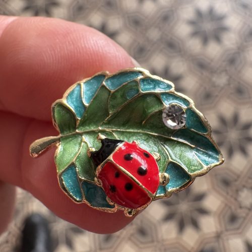 Petite broche de printemps Coccinelle