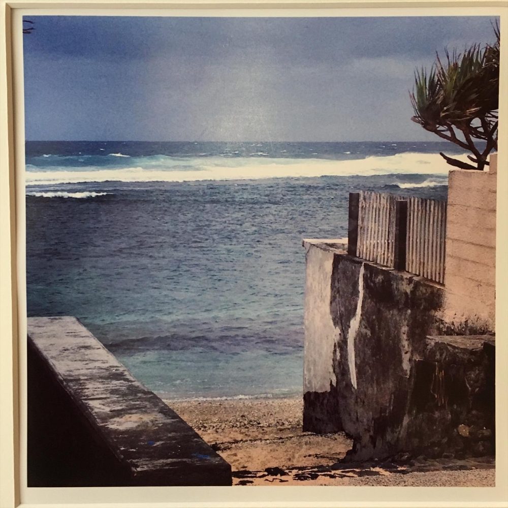 Série 'Une lumière d'été' - 'Vent marin et arbuste' (Photographie Emma Boniface) – Image 3