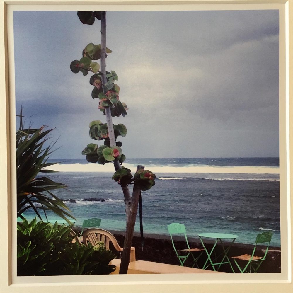 Série 'Une lumière d'été' - 'Vent marin et fleurs' (Photographie Emma Boniface) – Image 3